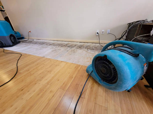 Professional Sewage Cleanup technician working in South Fulton, GA